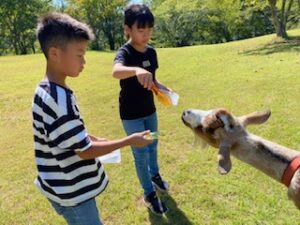 スマホやゲームのない夏休みの過ごし方