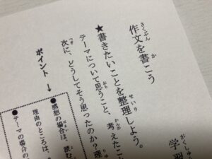 【オンライン】今年の夏も作文やります(マンツーマン)